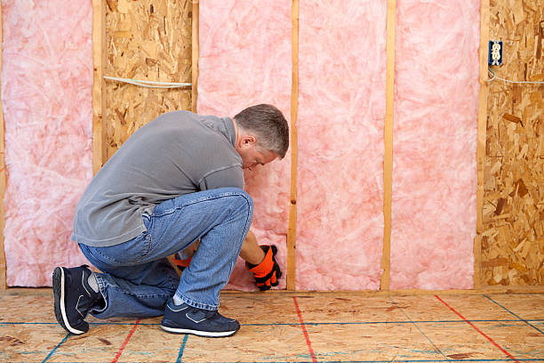 Best Insulation for New Construction  in Port Aransas, TX